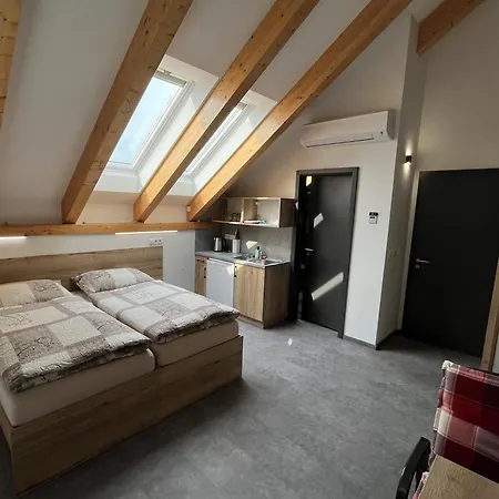 Homestay Kunc - V Soukromi - Borova 607, - Stredni Cechy Pribram